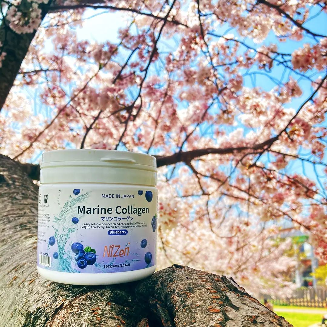 Marine-NiZen-Marine Collagen Powder Blueberry-96