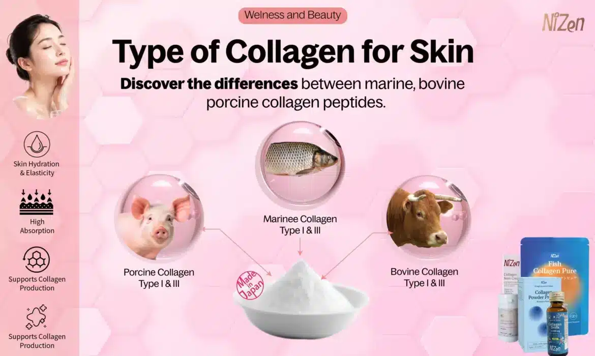 Types of Collagen in Skin Supplements, Marine vs Bovine vs Porcine vs Collagen Peptides